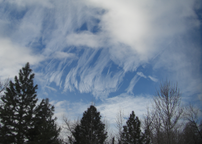 Cirrus Clouds Dec 2012