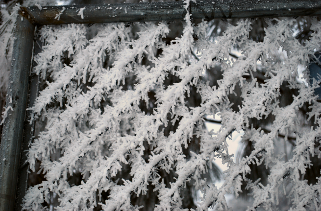 Ice Crystals on
            Chainlink Gate