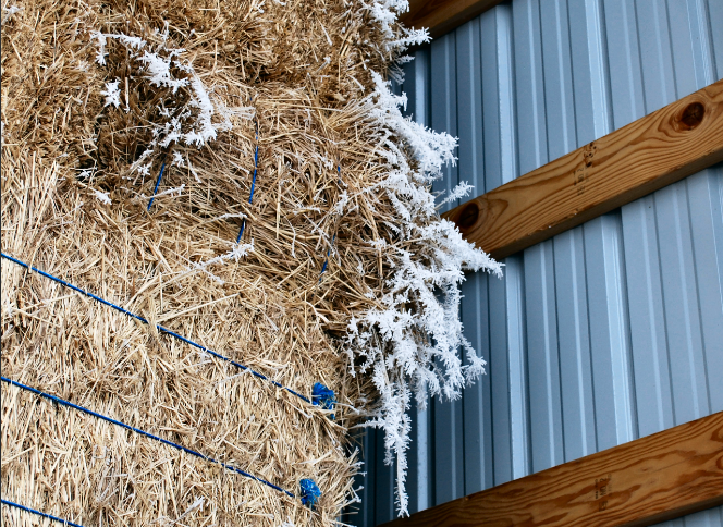 Frost on Hay Bales in
            New Bldg