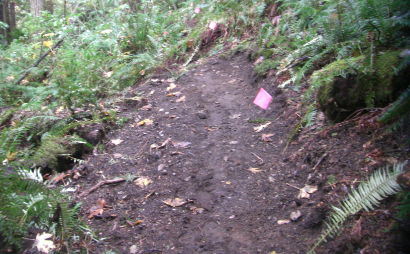 Clearing trail behind
        flags