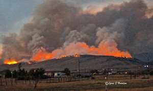 Snag Canyon Fire
        hearing to Lillard Hill by Lynne Harrison