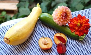 Squash Dahlias two kinds of plums