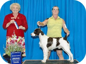 Sonja Show photo first
                                            major win Tug