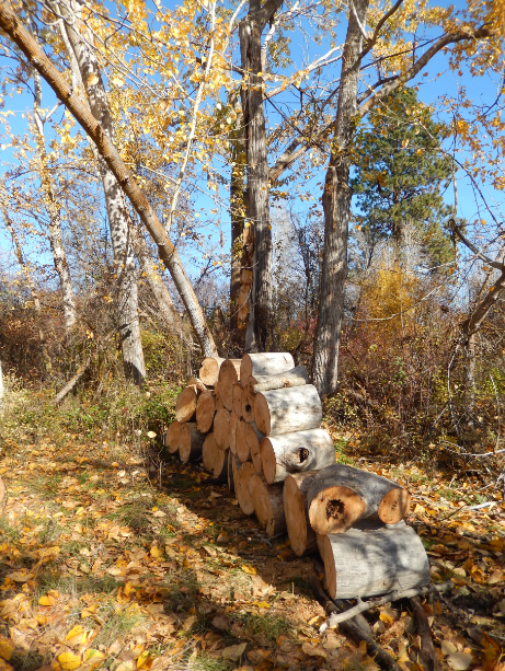 john's wood pile