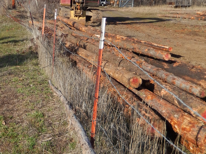 Logs and the crushed fence