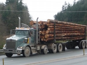 Logging Truck From Web