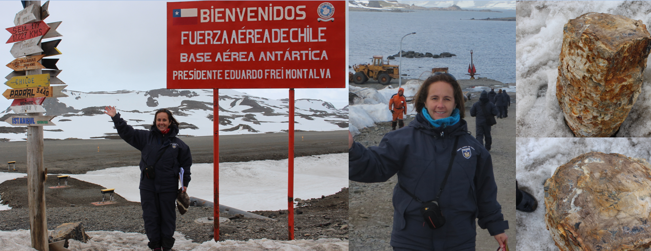 15-AntarcticaCollageMerida&PetrifiedWood