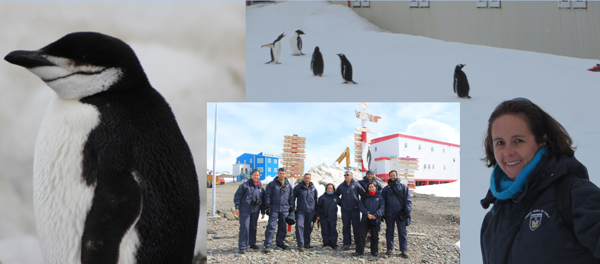 16-AntarcticaCollageMerida&Penguins&Team